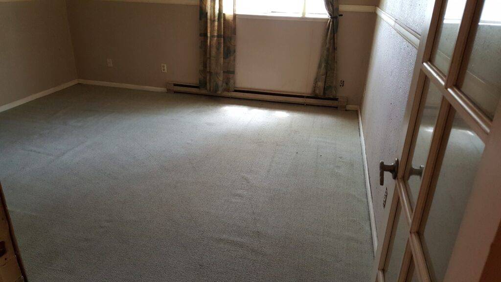 carpet-cleaning-services-in-denver