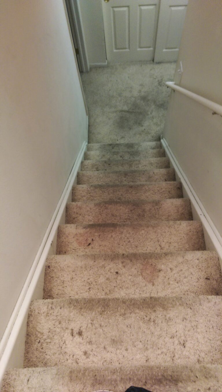 how-to-remove-carpet-cleaning-on-stairs