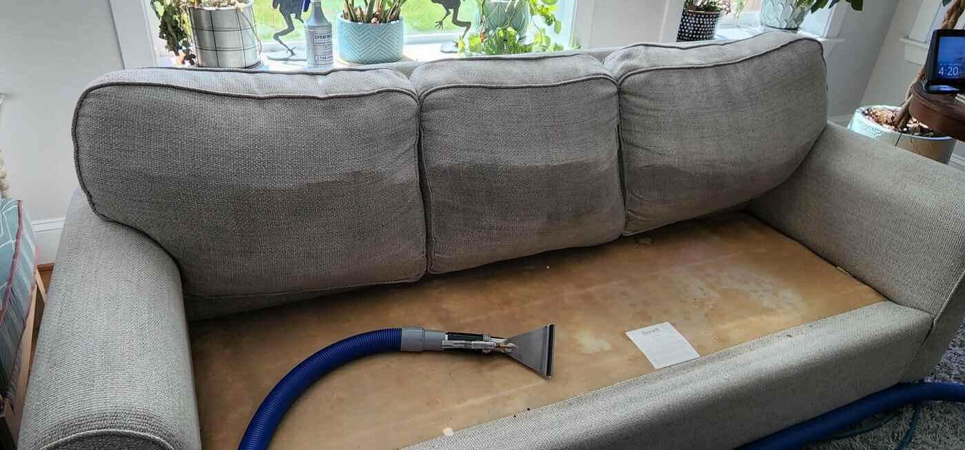 Upholstery carpet cleaning services