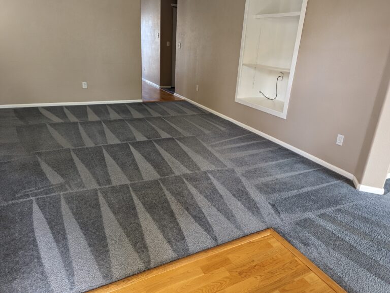 Carpet cleaning services in denver