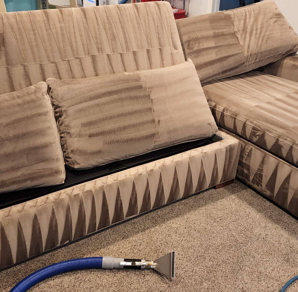 sofa cleaning