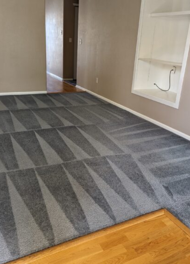 rug cleaning denver