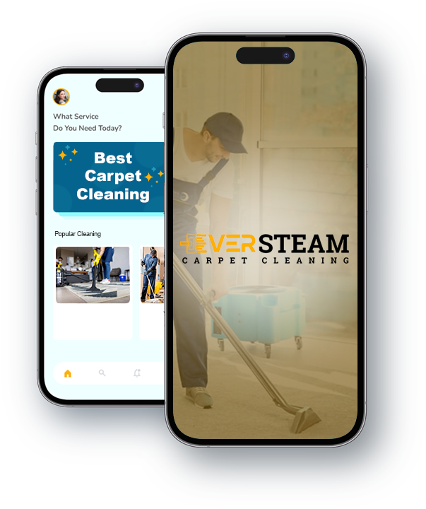 Ever steam carpet cleaning denver