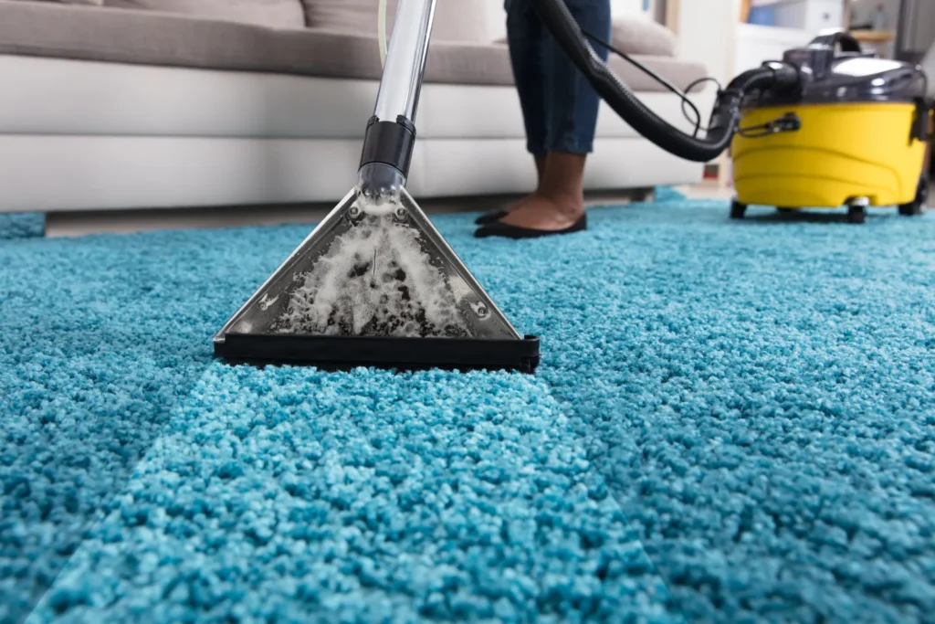 How to Choose the Right Professional Rug Cleaner