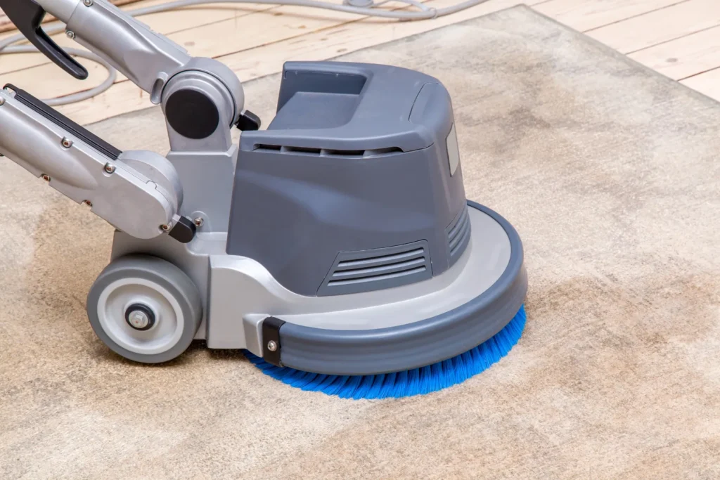 Area Rug Cleaning Denver CO
