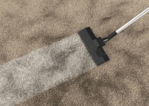Carpet Cleaning Services