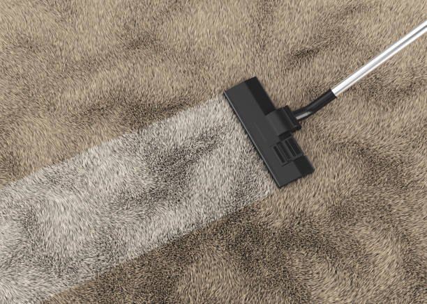 Carpet Cleaning Services
