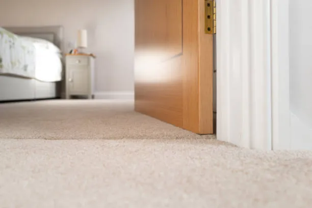 Carpet Cleaning