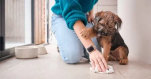 Pet Stain Remover
