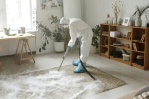 Remove Stubborn Stains from Your Carpet