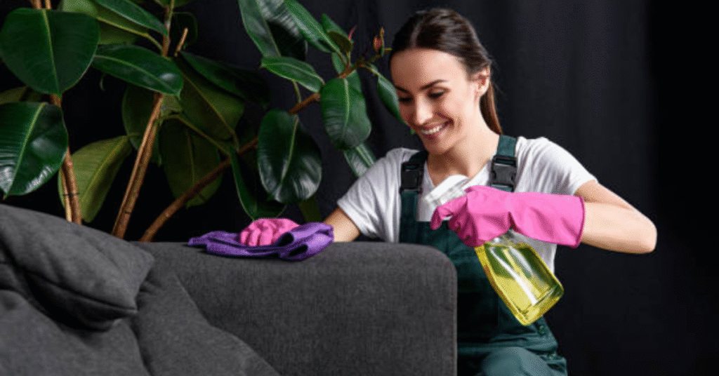 Upholstery Cleaning Services