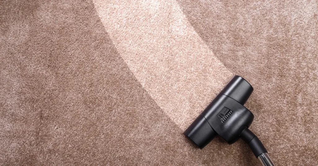 diy carpet cleaning solution