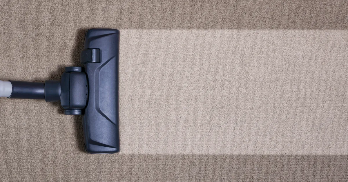 drop off area rug cleaning