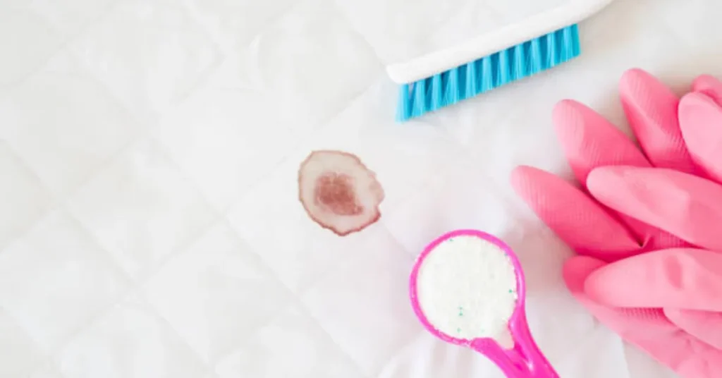 best odor and stain remover for pets​​