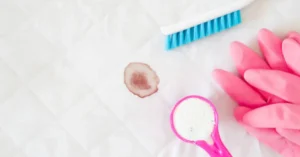 best odor and stain remover for pets​​
