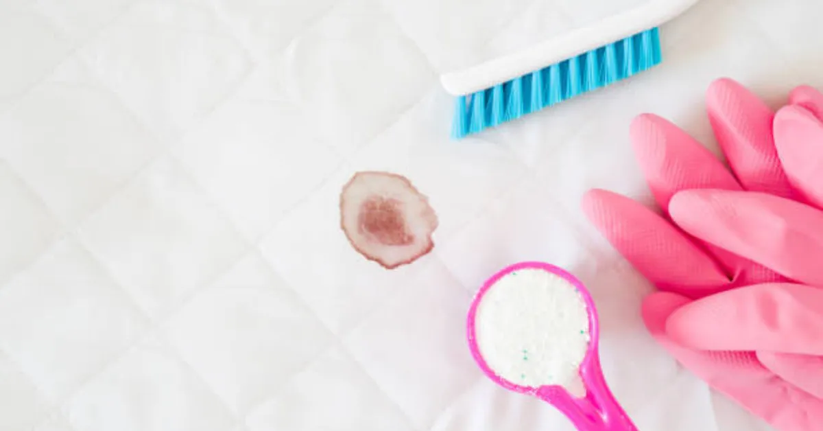 best odor and stain remover for pets​​
