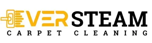 EVER STEAM CARPET CLEANING LLC LOGO
