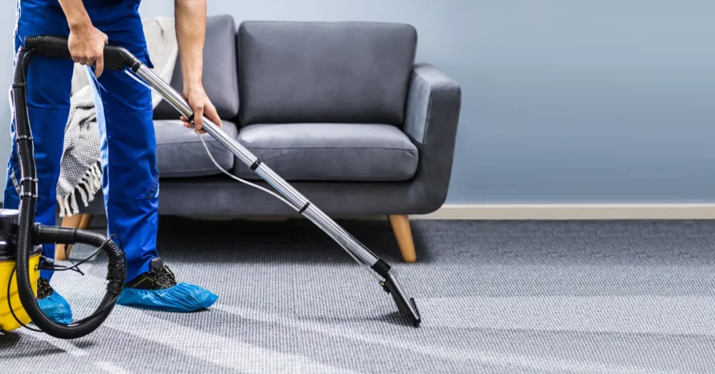drop off area rug cleaning