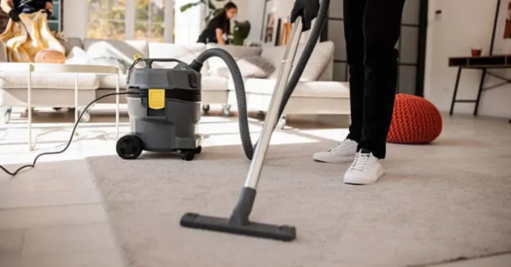 professional carpet cleaning pet urine
