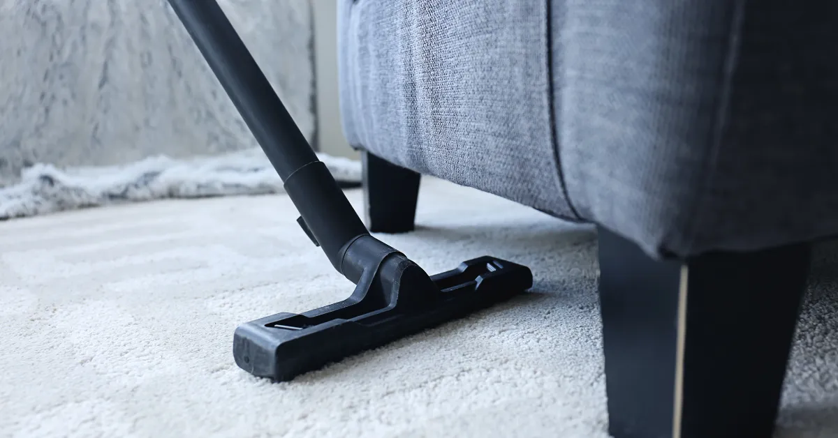 carpet cleaner