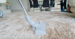 carpet maintenance