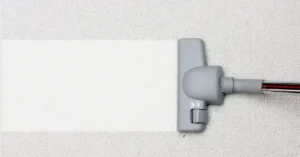 carpet cleaner