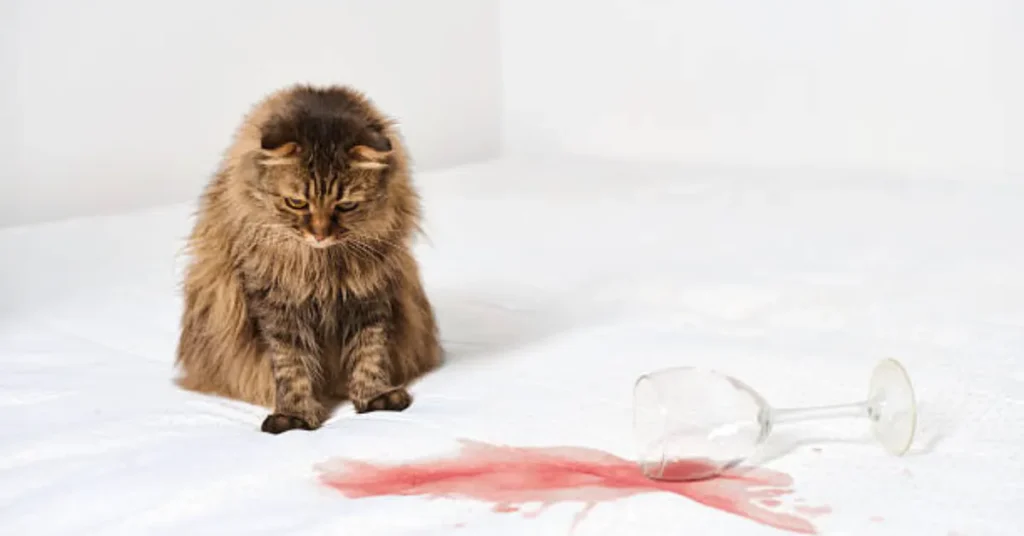 pet odor and stain remover