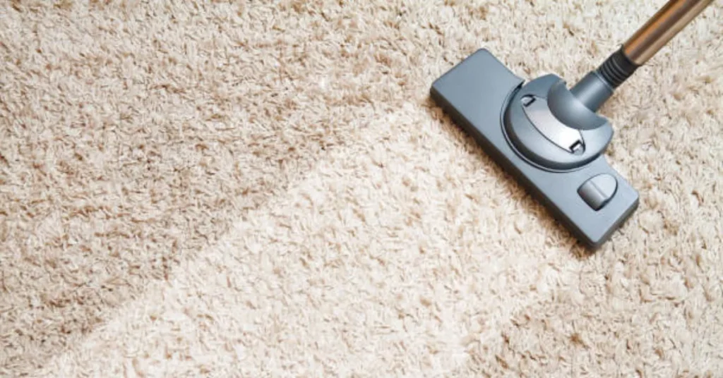 Rug Cleaning Littleton CO