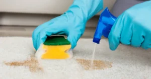 Carpet Cleaner For Pet Stains