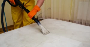 Clean Urine From Mattress