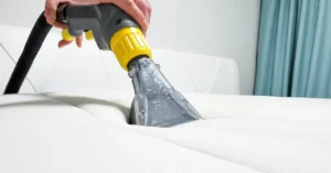 Clean Urine From Mattress