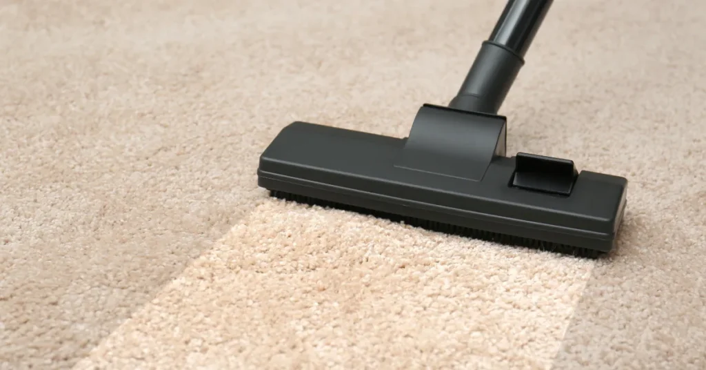 steam carpet cleaner