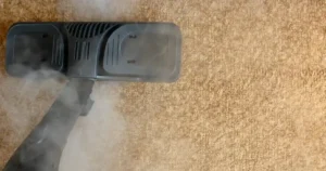 Carpet Steam Cleaning