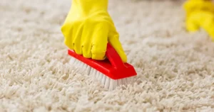 Nylon Carpet