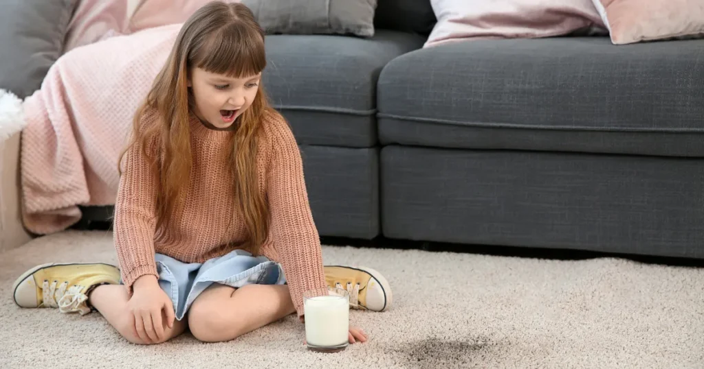 Carpet Cleaning Lakewood CO