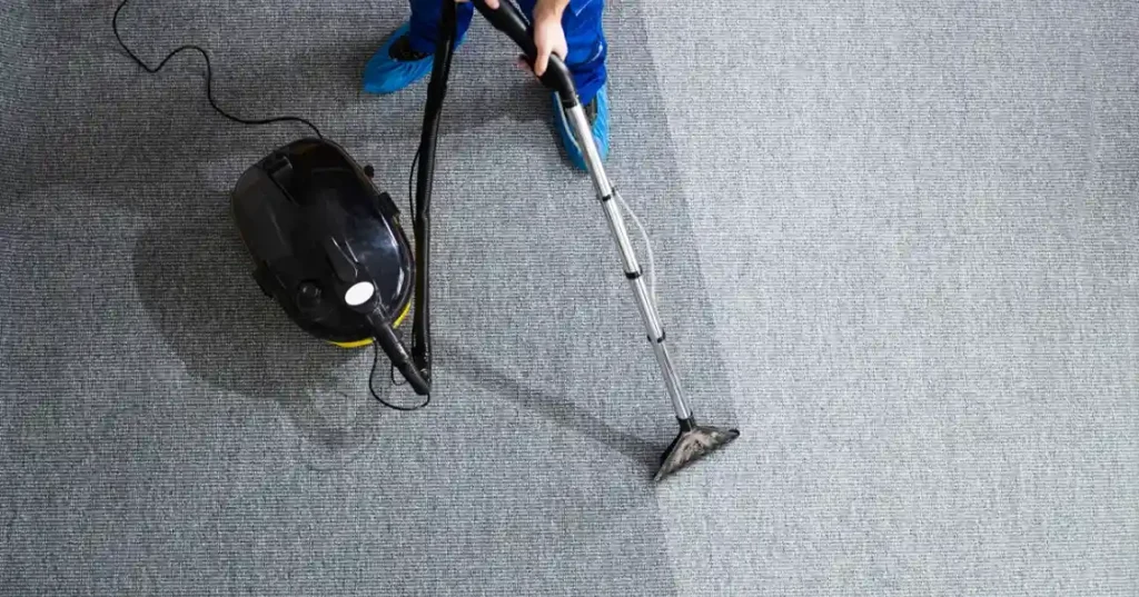 Expert Carpet Cleaner