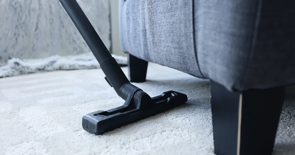 furniture and carpet cleaning
