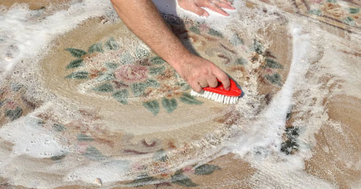 Shampoo area rug on hardwood floor