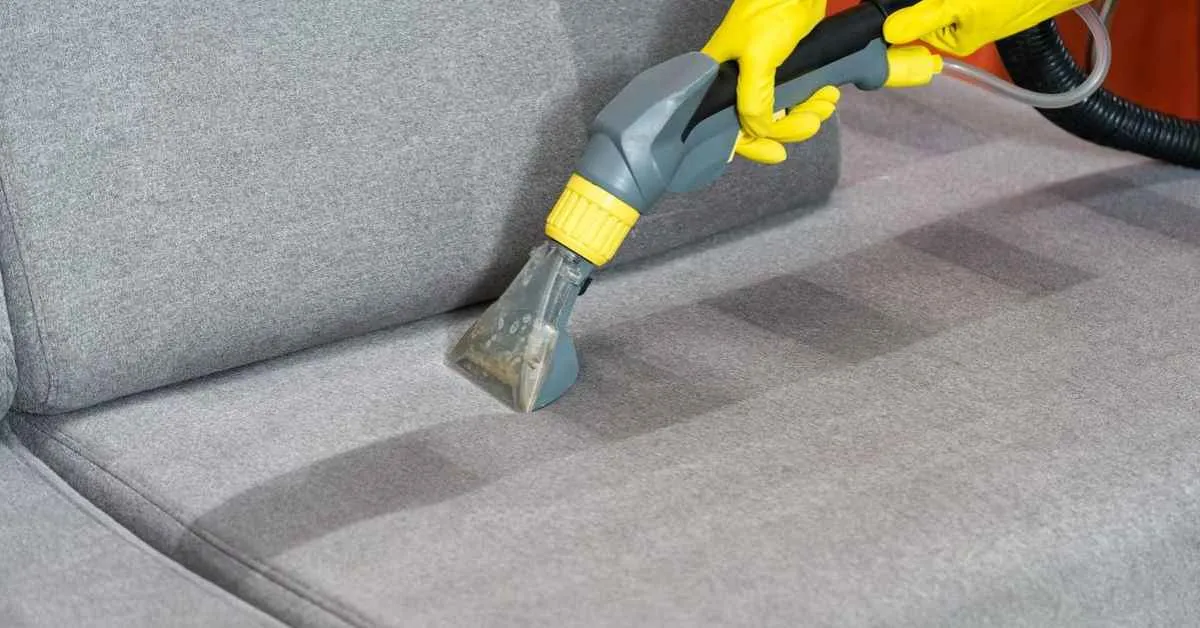 Average Cost of Upholstery Cleaning