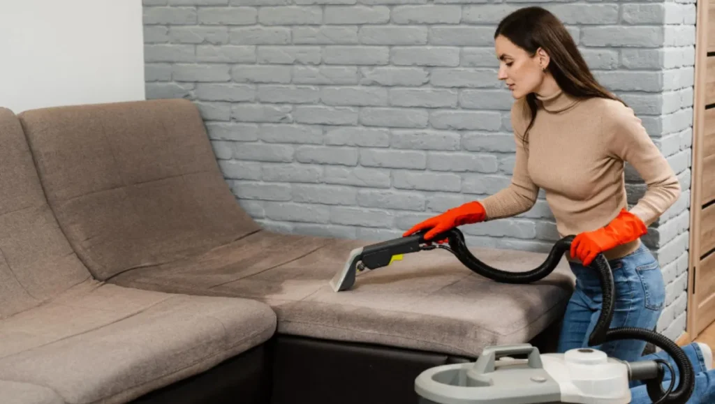 Upholstery Cleaning Lone Tree CO
