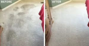 Carpet Cleaning Before and After