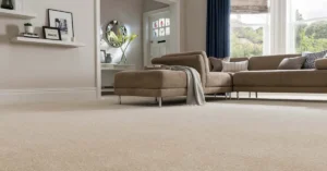 professional carpet cleaning results