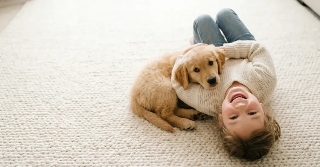 Pet Odor and Stain Removal Littleton
