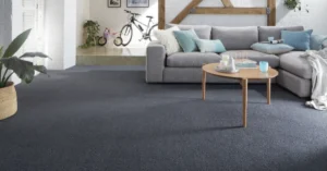 Same Day Carpet Cleaning