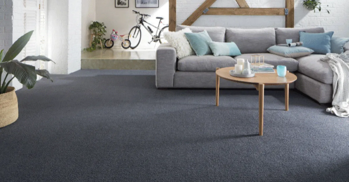 Same Day Carpet Cleaning