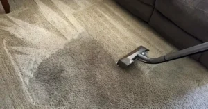remove high traffic stains from carpet