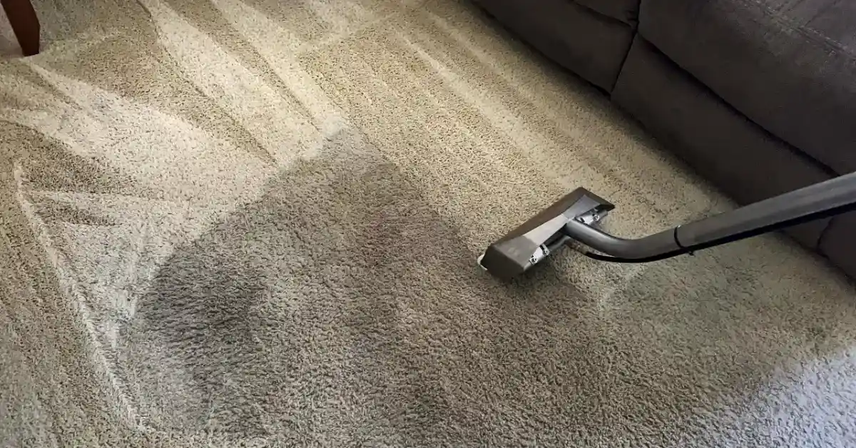 remove high traffic stains from carpet