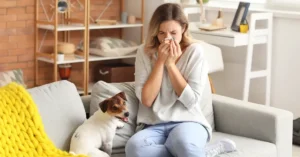 Carpet Cleaning for Allergies