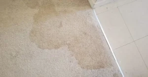 water stains on carpet removal