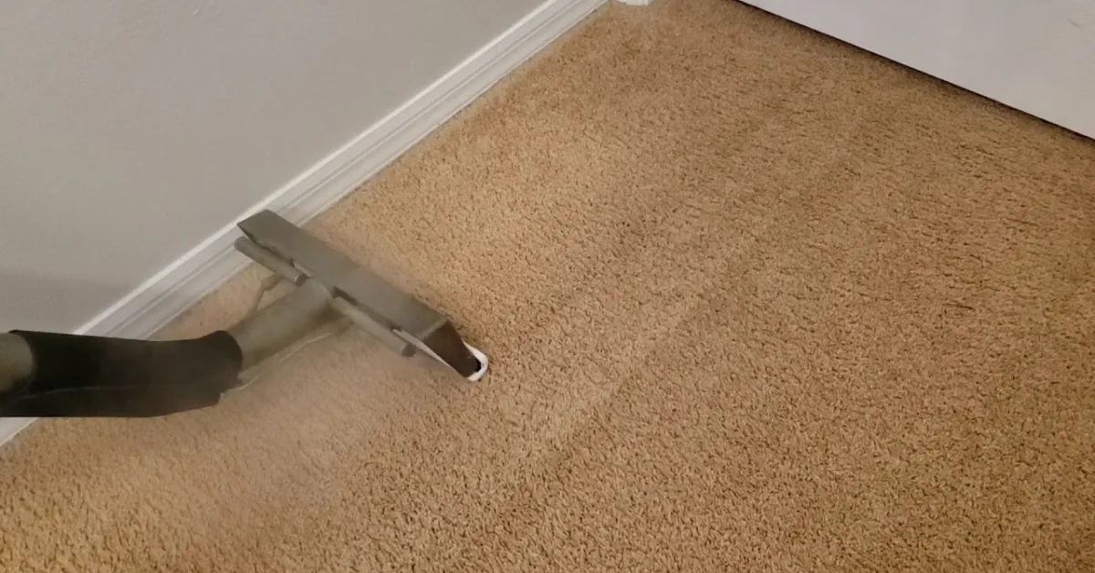 remove drywall dust from carpet